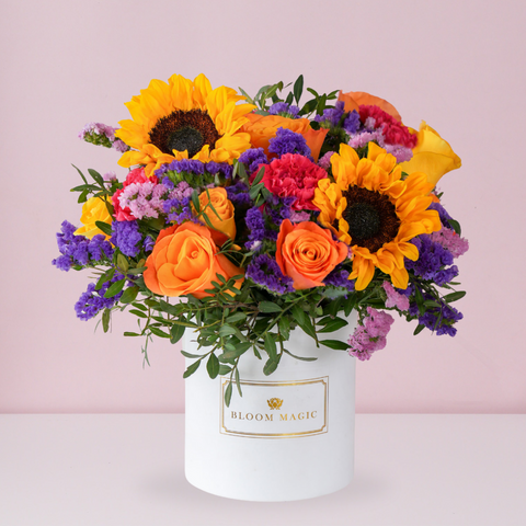 Vibrant La Lumière du Soleil