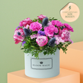 Lavender Les Fleurs Sauvages