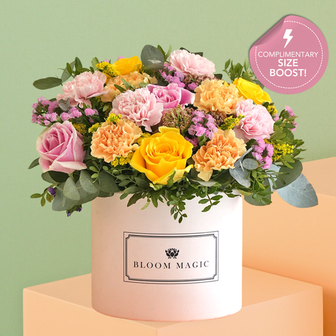 Pastel Amour