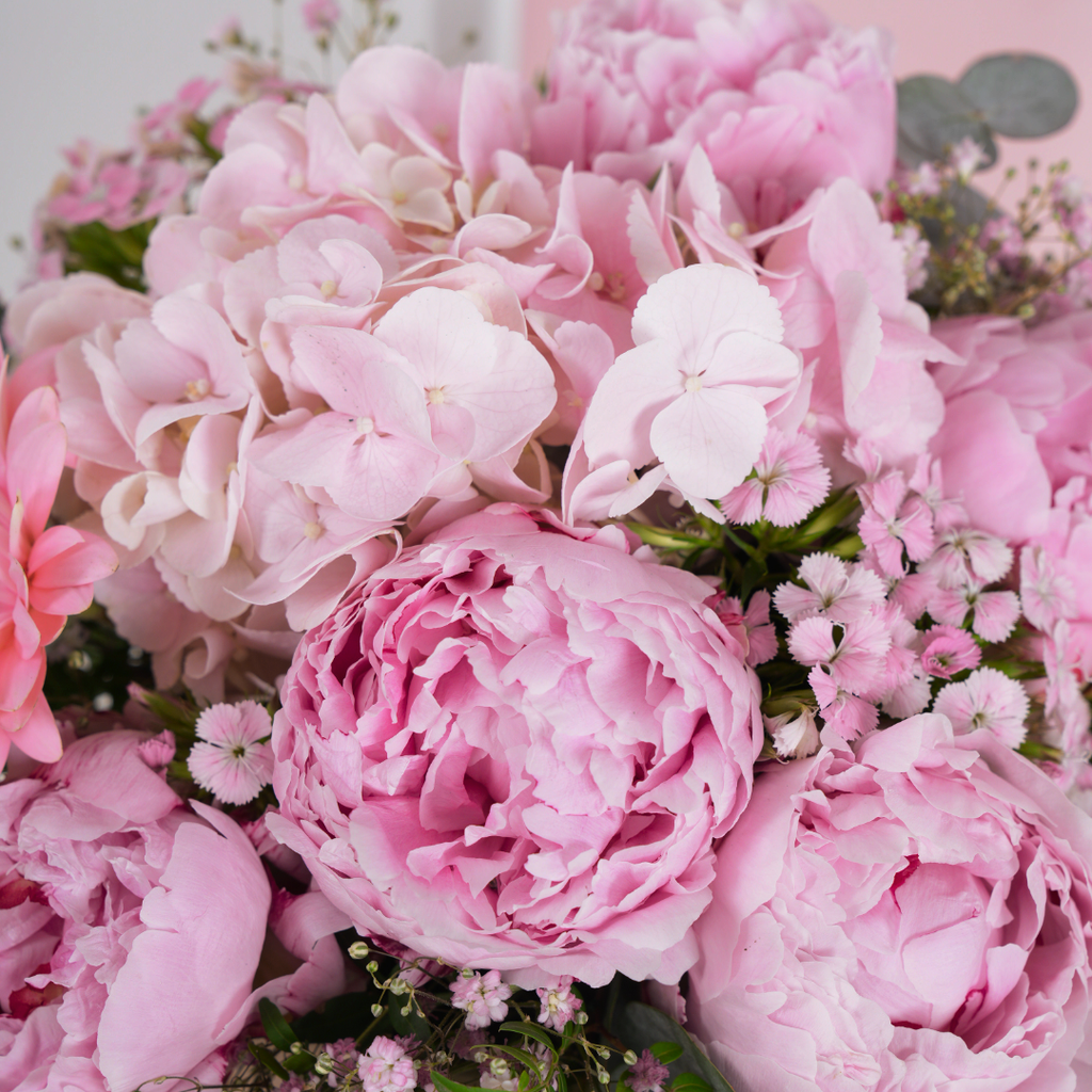 Pink Peony d'Amour
