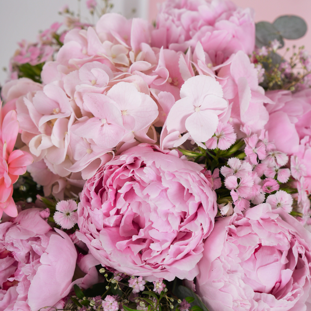 Pink Peony d'Amour
