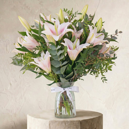 Pink Lily
