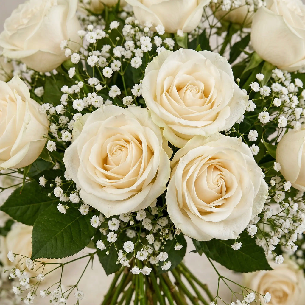 La Vie En Blanc