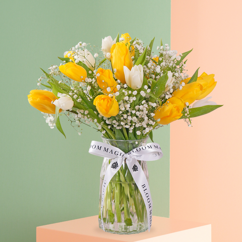 Easter Fleurs Mixed Tulip