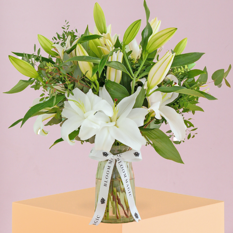 White Lily