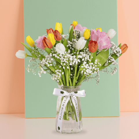 Mélange Tulip Delight