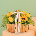 Fleurs Sunflower