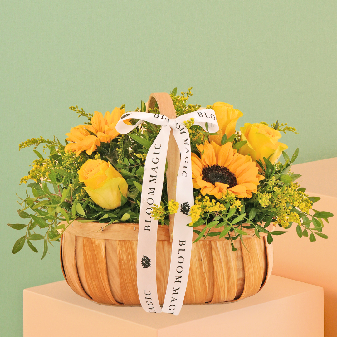 Fleurs Sunflower