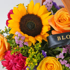 Vibrant La Lumière du Soleil