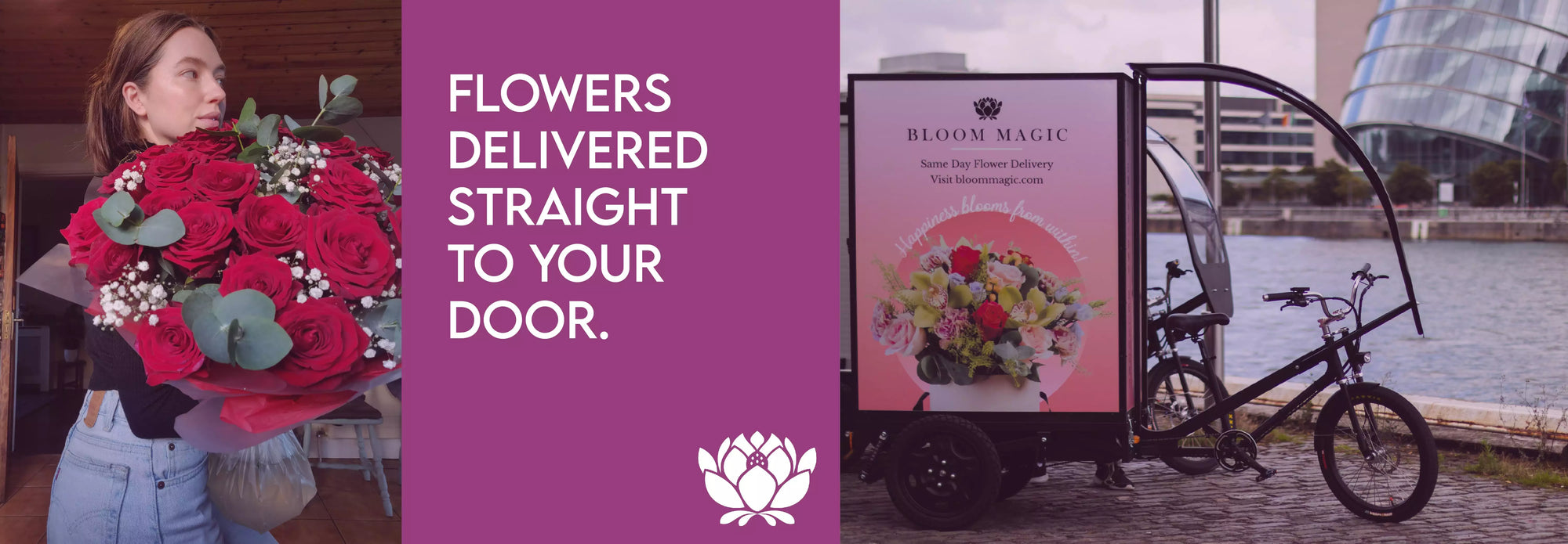 Online shop flower delivery