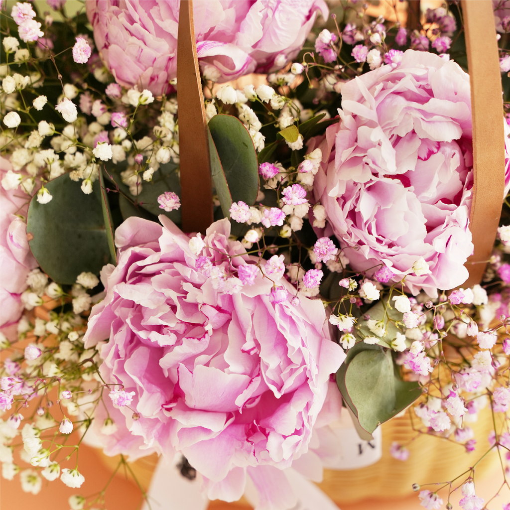 Pink Peony Fleurs