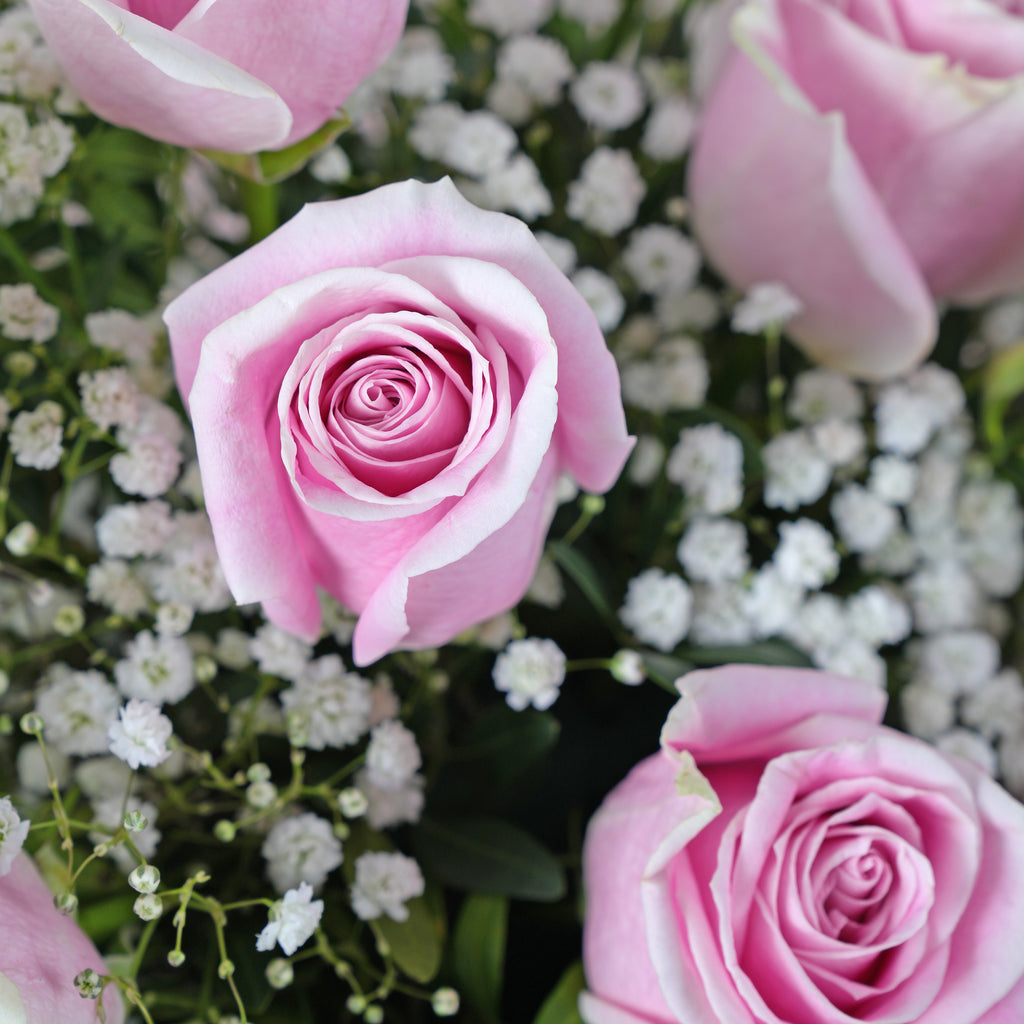 Women's Day La Vie En Rose