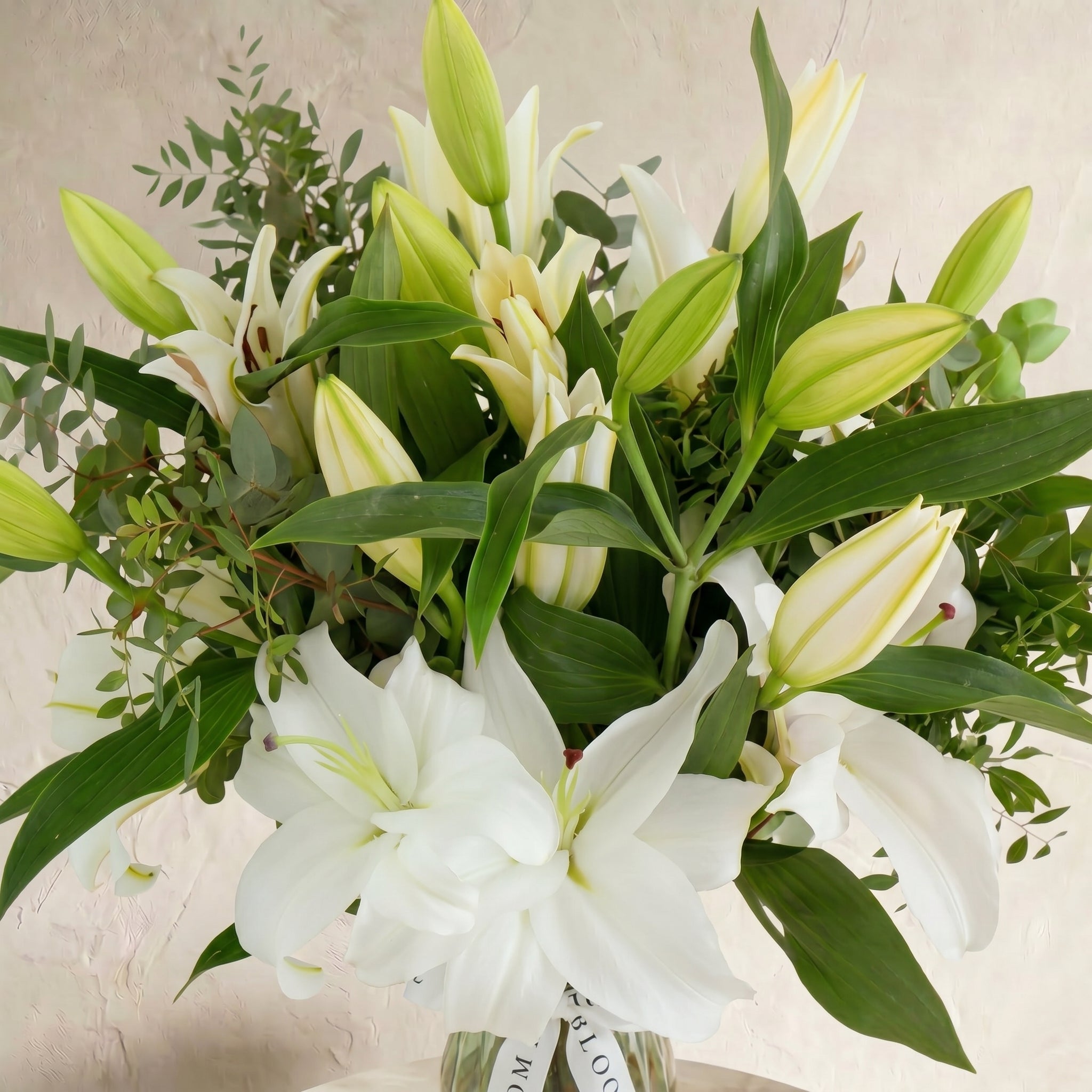 White Lily