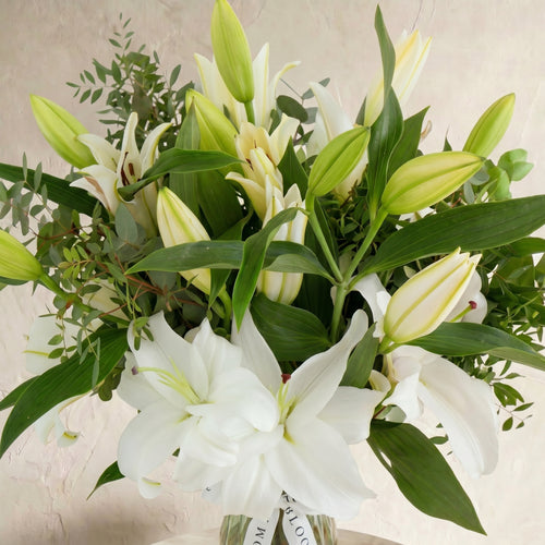 White Lily